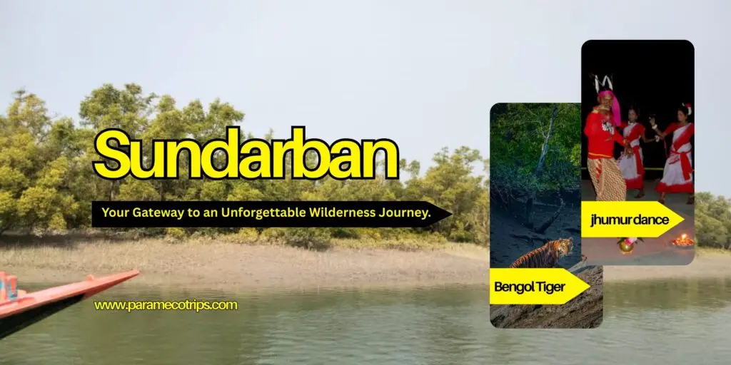 About Sundarban